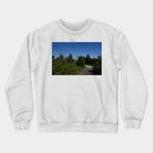 850_4854 Crewneck Sweatshirt